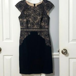 Women's Antonio Melani Dress....size 6